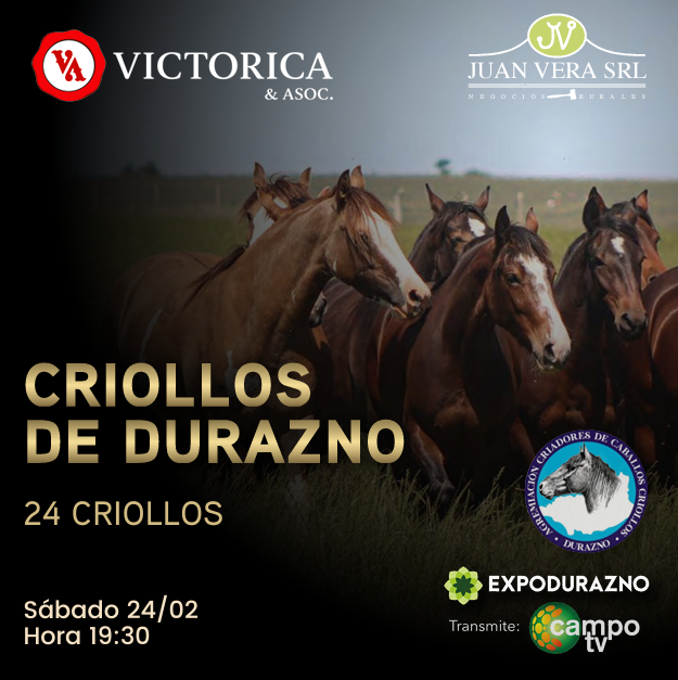 Criollos de Durazno