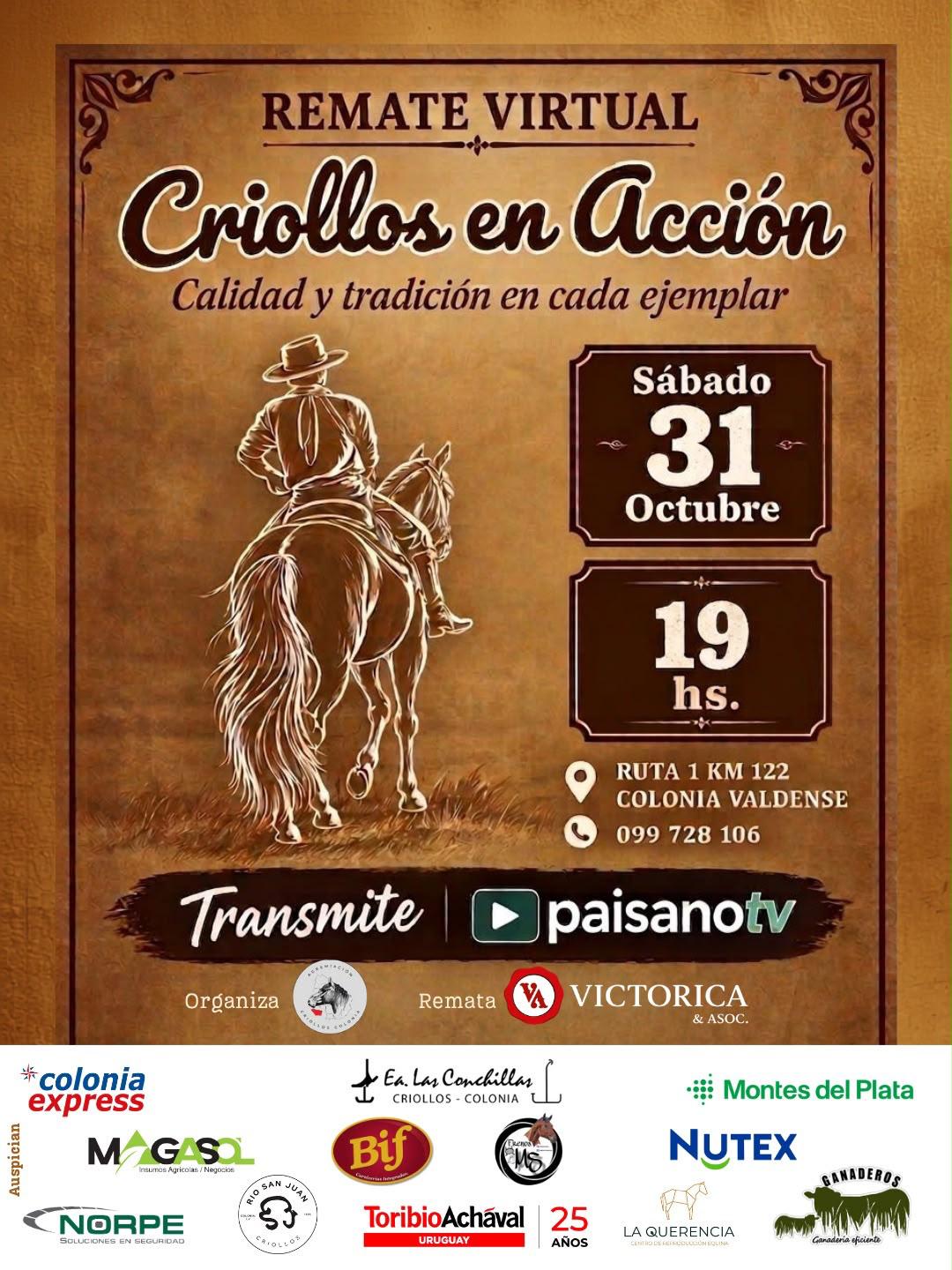 CRIOLLOS EN ACCION