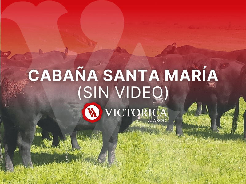 LOTE 10 (SA) – CABAÑA SANTA MARIA