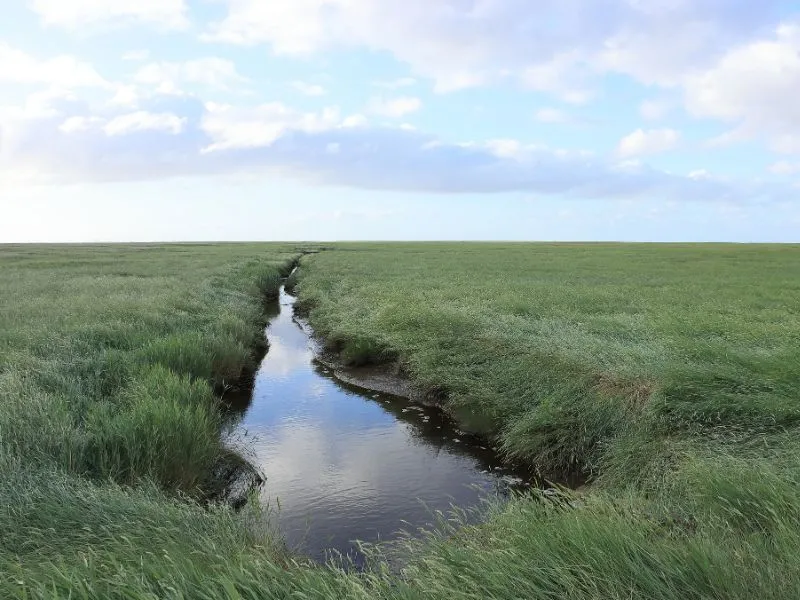 Aguadas naturales en campos ganaderos: el activo silencioso que define su valor