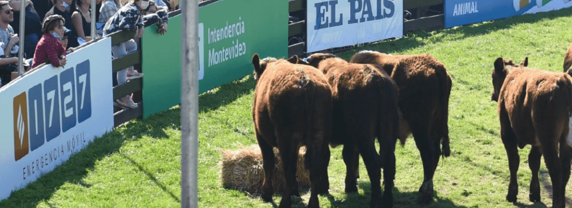 Rural del Prado 2026