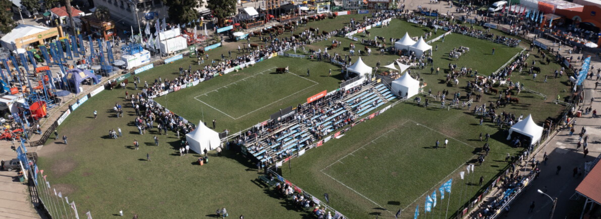 Expo Prado 2026: El punto de encuentro donde tradición, innovación y futuro vuelven a encontrarse